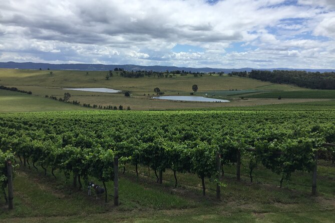Private Yarra Valley Wine Tour - Pricing and Booking