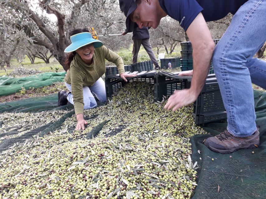 Rethymno: Olive Oil Tasting With Cretan Food Pairing - Final Words