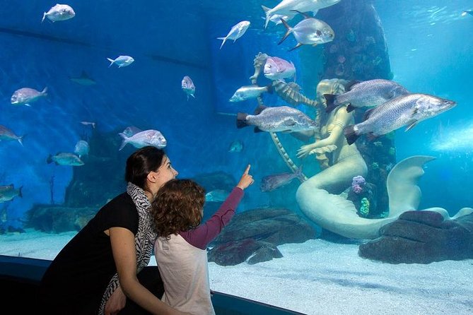 SEA LIFE Melbourne Aquarium Admission Ticket - Planning Your Day at SEA LIFE