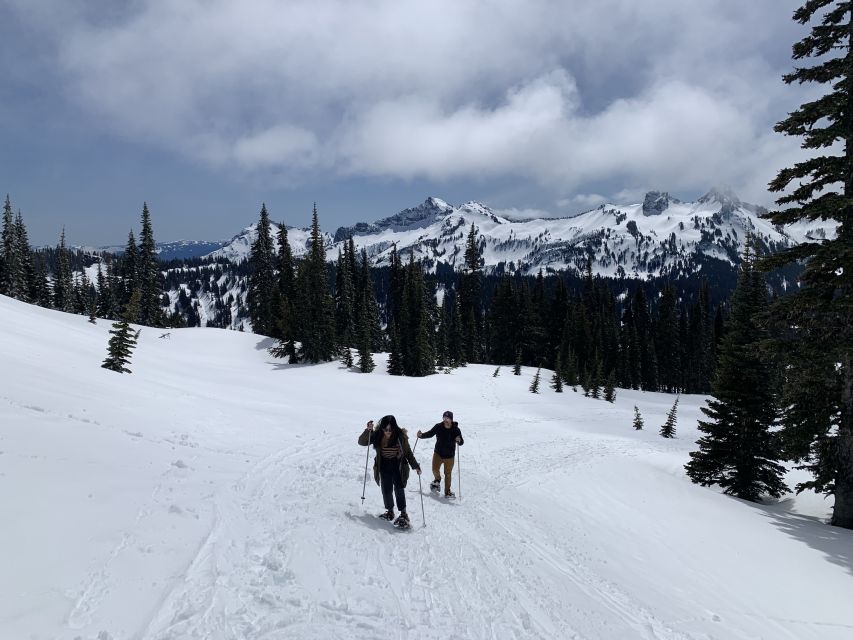 Seattle: Mt. Rainier Hiking W/ Waterfalls, Glaciers & Trees - Preparation Tips for the Hike