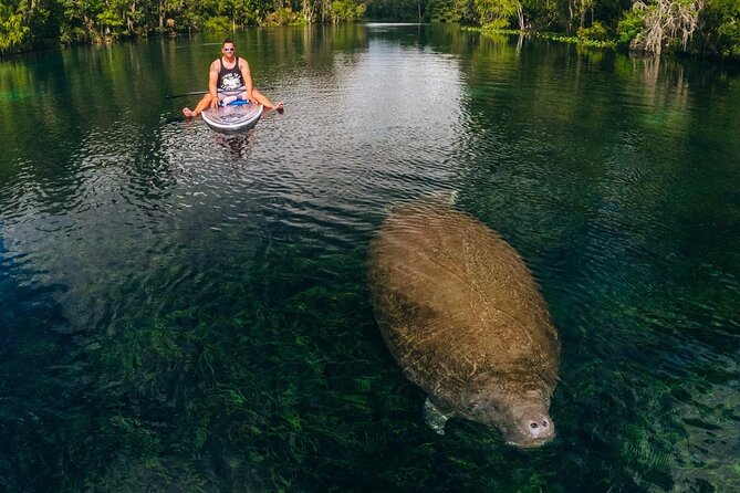 Silver Springs: Clear Kayak Wildlife Adventure - Memorable Tour Experiences