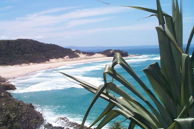Stradbroke Island 4WD Day Trip From Brisbane - Reviews and Cancellation Policy