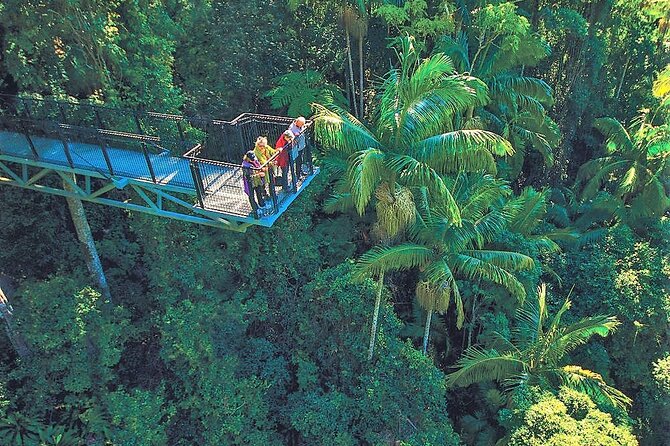 Tamborine Mountain Daily Service, Treetop Challenge and Thunderbird Park - Booking and Cancellation Policy