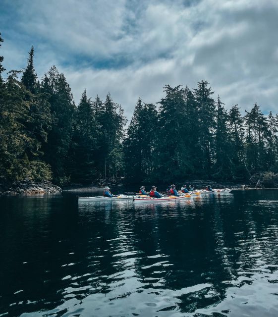 Telegraph Cove: Half-Day Kayaking Tour - Common questions