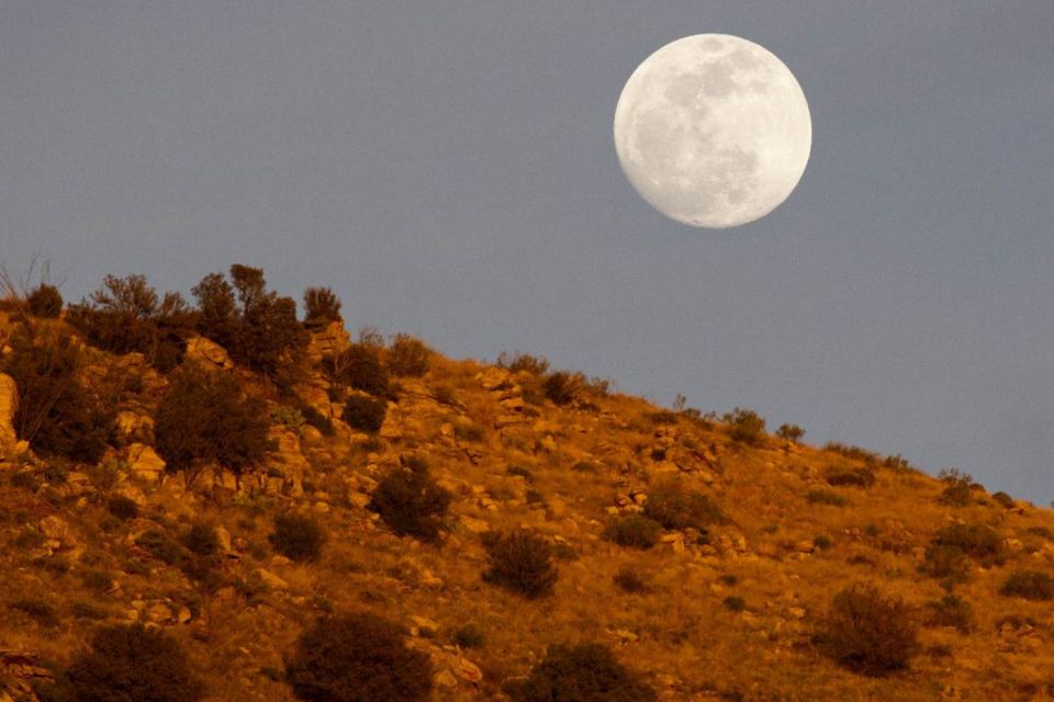 Tucson: Mt Lemmon & Saguaro NP Self-Guided Bundle Tour - Summary