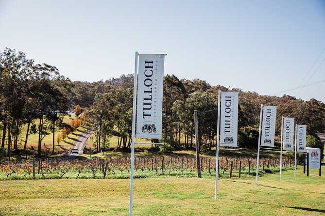 Tulloch Wines Hunter Heroes Wine Tasting With Local Cheese & Charcuterie Board - Hunter Valley Wine Experience