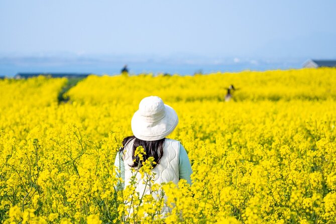 UNESCO Private Guided Culture and Nature Tour in JeJu Island - Additional Services and Options