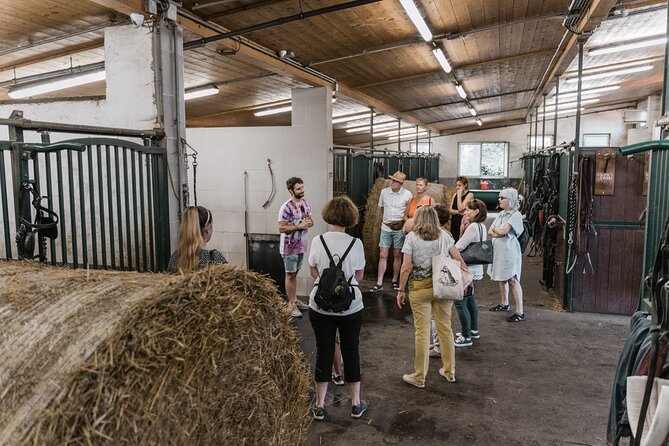 Vienna Horse-drawn Carriage Guided Tour - Final Words