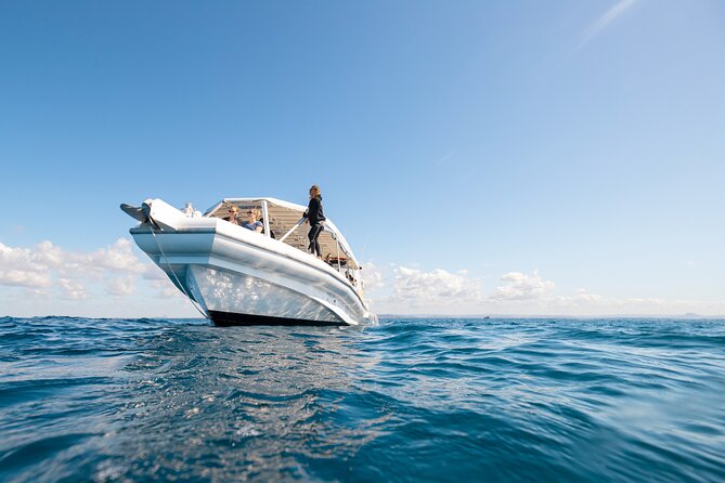 Whale Watching and Swim With Whales Cruise From Mooloolaba - Booking and Cancellation Policies