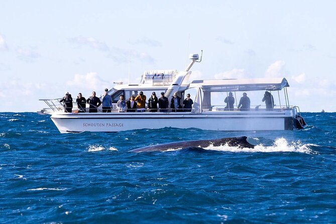 Whale Watching Boat Trip in Sydney - Preparing for Your Adventure