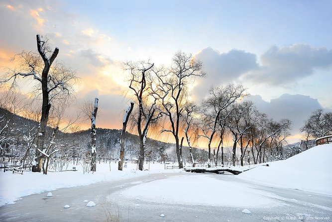 Winter Fun at Vivaldi Ski Resort With Romantic Winter Scenery at Nami Island - Tips for a Memorable Trip