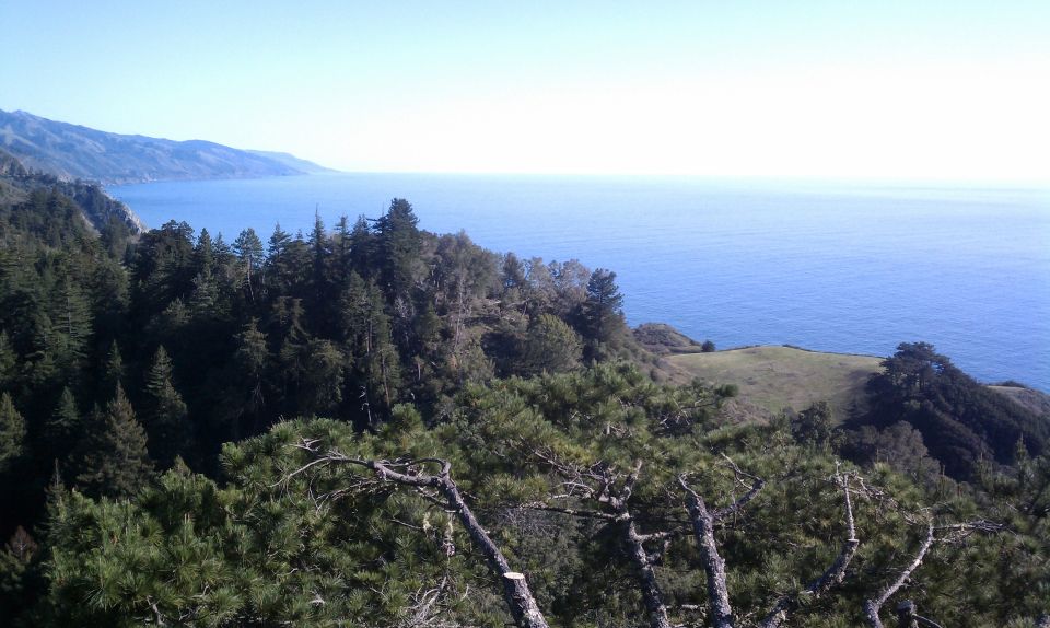 Big Sur: Sightseeing Tour With 4 to 5 Stops - Final Words