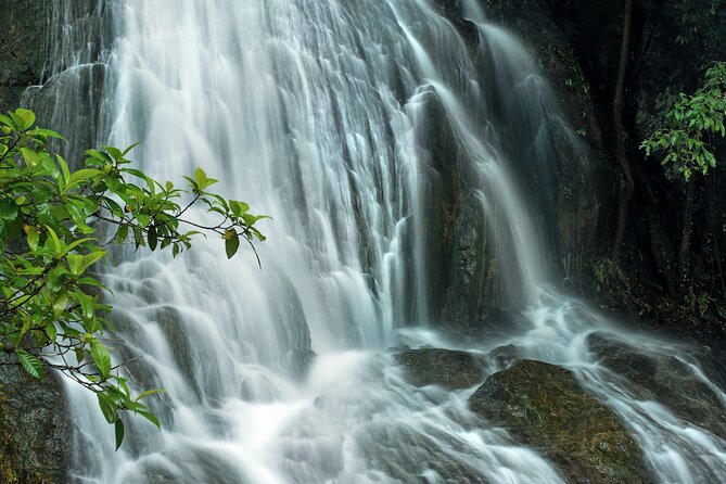 Cairns, Great Barrier Reef & Rainforest 7 Day Tour. - Real Customer Reviews and Feedback