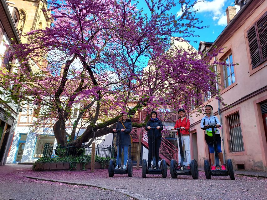 Colmar: 2-Hour Segway Tour - Optional Wine Tasting