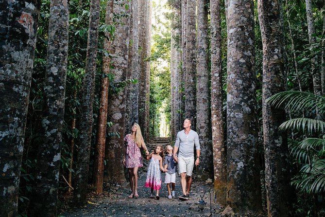 Day Tour to Paronella Park, Lake Barrine and Millaa Millaa Falls - Planning Your Day Trip