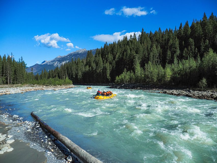 Golden, BC: Kicking Horse River Half Day Whitewater Rafting - Common questions