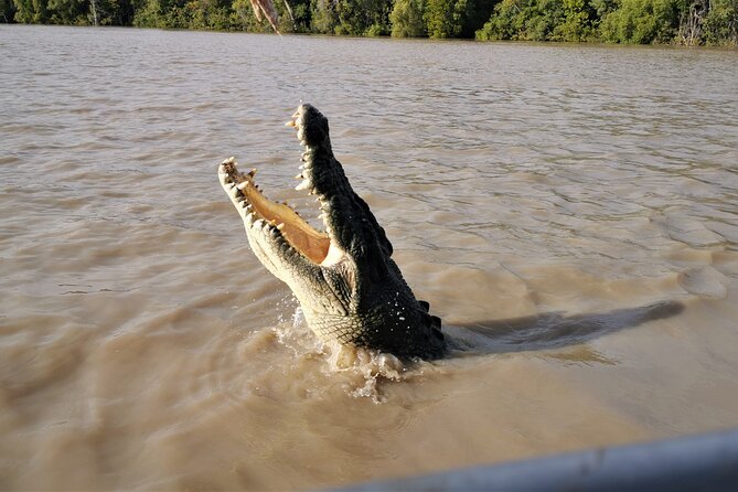 Jumping Croc Cruise, Berry Springs, Fogg Dam & Humpty Doo Pub - Reviews and Testimonials