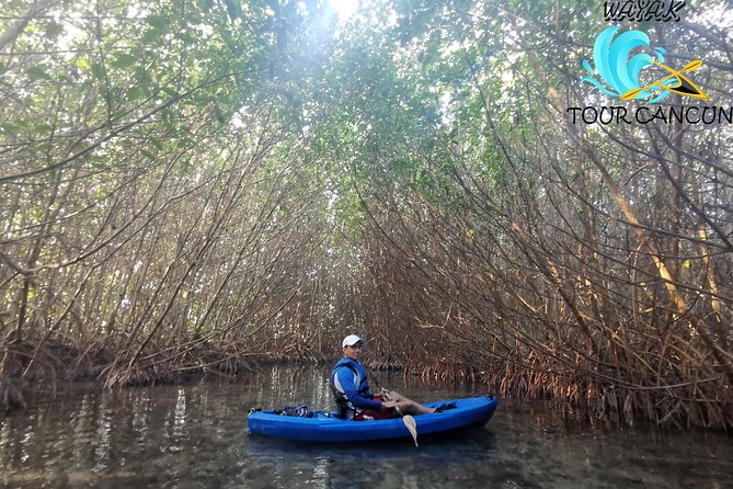 Kayak Tour in Laguna Nichupte Cancun - Common questions