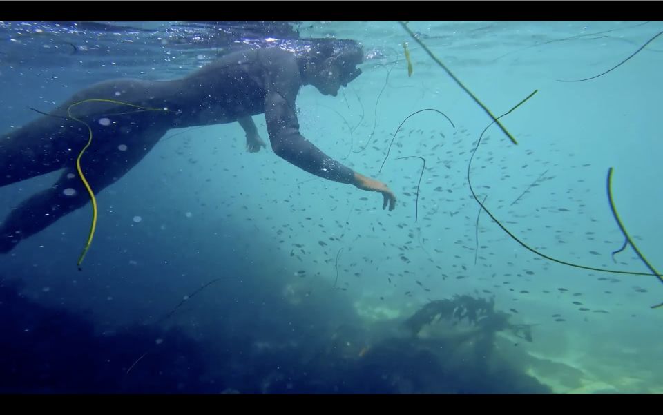 La Jolla: 2.5-Hour Kayak and Snorkel Tour - Final Words