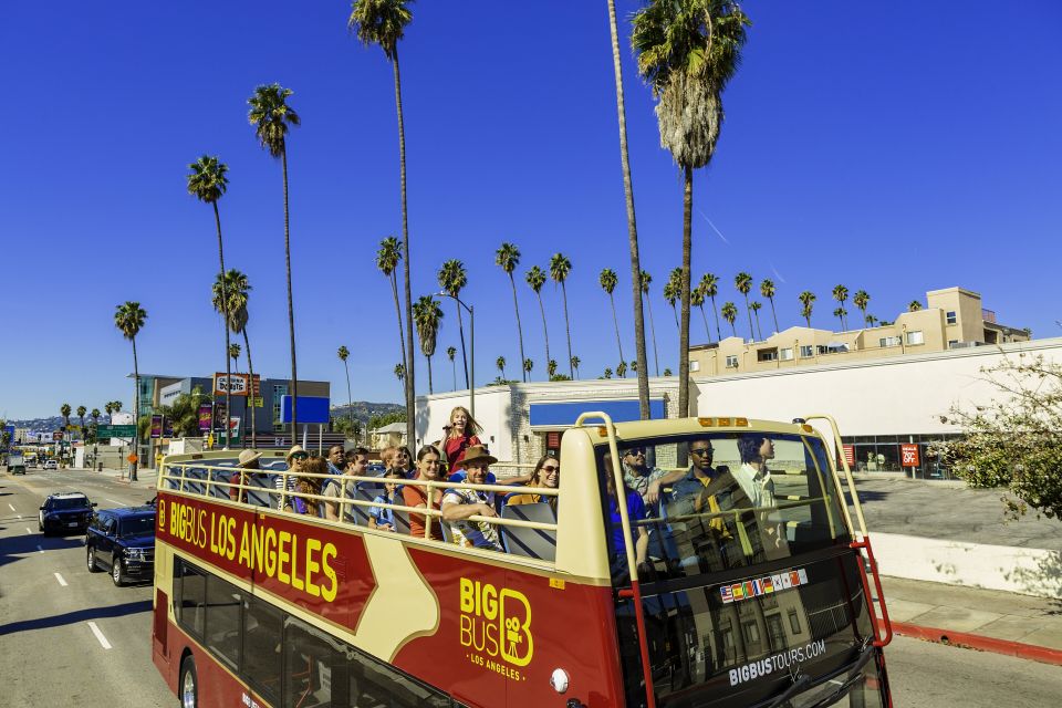 Los Angeles: TMZ Celebrity Tour & 1-Day Hop-on Hop-off Tour - Final Words