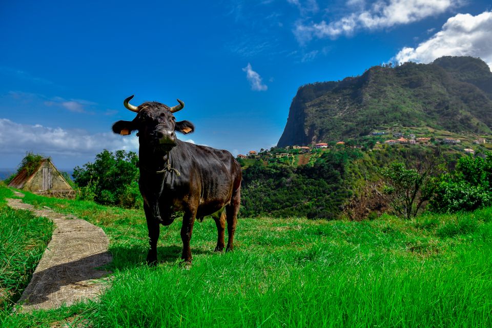 Madeira: Full-Day Private North Coast Tour - Included Amenities