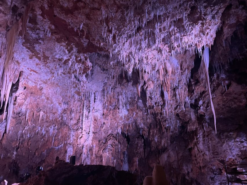 Montpellier:Half-Day Terrasses Du Larzac Wine and Grotto - Common questions