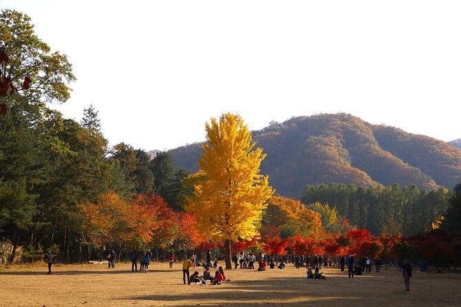 Nami and Happy Chowon Panorama Field and Railbike and Morning Calm - Booking and Cancellation Policies