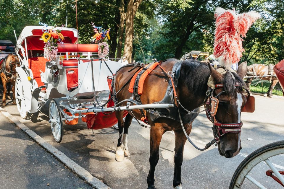 NYC MAGICAL NIGHT TIME RIDE Central Park/Rockefeller Center - Additional Information