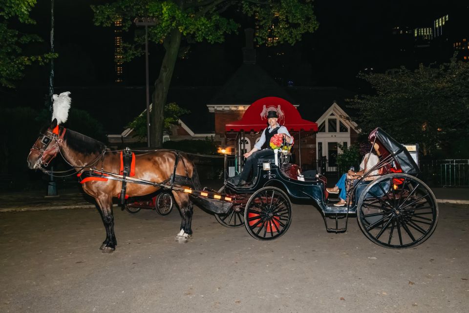 NYC MOONLIGHT HORSE CARRIAGE RIDE Through Central Park - How to Book