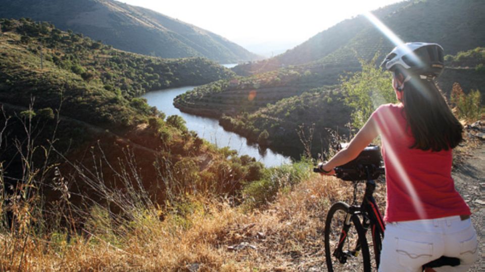 Portugal: Premium Bike Tour Atlantic Coast to Douro Valley - Common questions