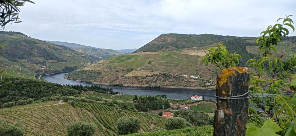 Private Douro Wine Tour - Customer Booking Process