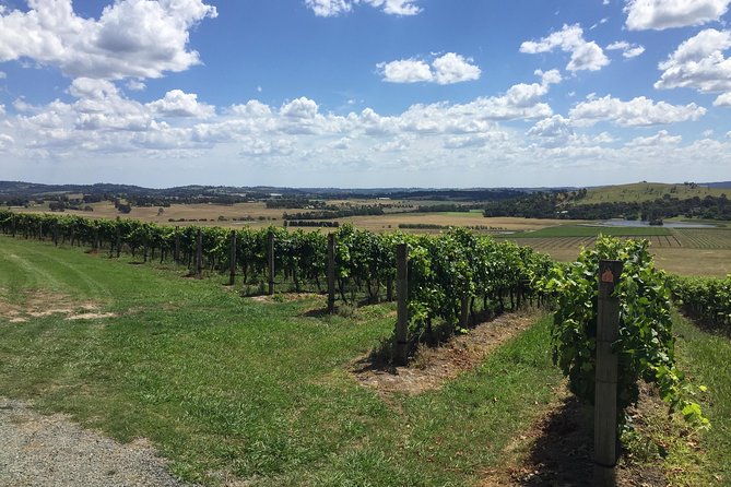 Private Yarra Valley Wine Tour - What to Expect