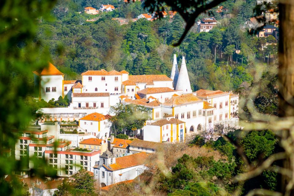 Sintra: Full-Day Private Tour & Pena Palace Entry Option - Common questions
