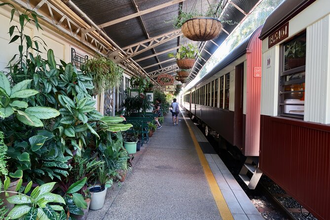 Small Group Kuranda Tour via Kuranda Scenic Rail and Skyrail - Important Tour Information