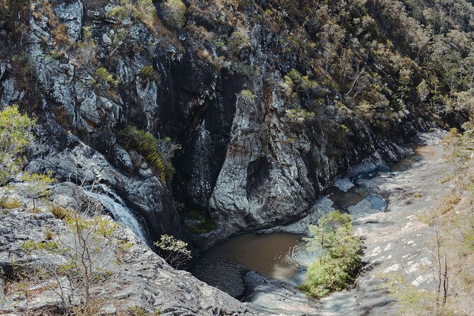 Springbrook Andtamborine Rainforest Tour Incl Natural Bridge and Glow Worm Cave - Practical Tour Information