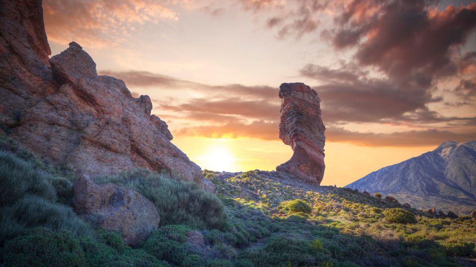 Tenerife: Teide National Park and Dolphins Sailboat Tour - Final Words