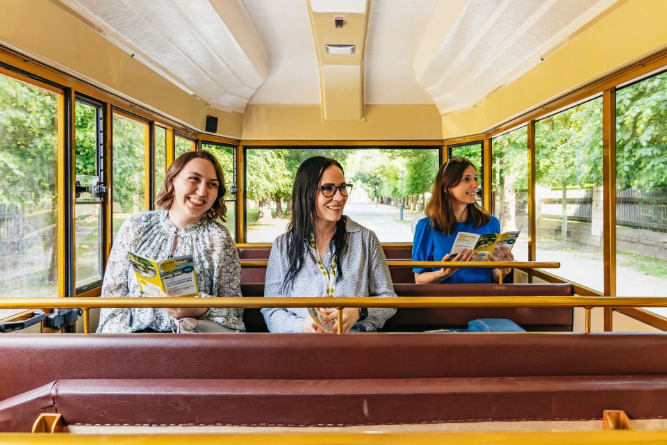 Vienna: Panorama Train Tickets to Explore Schönbrunn Palace - Family-Friendly Option