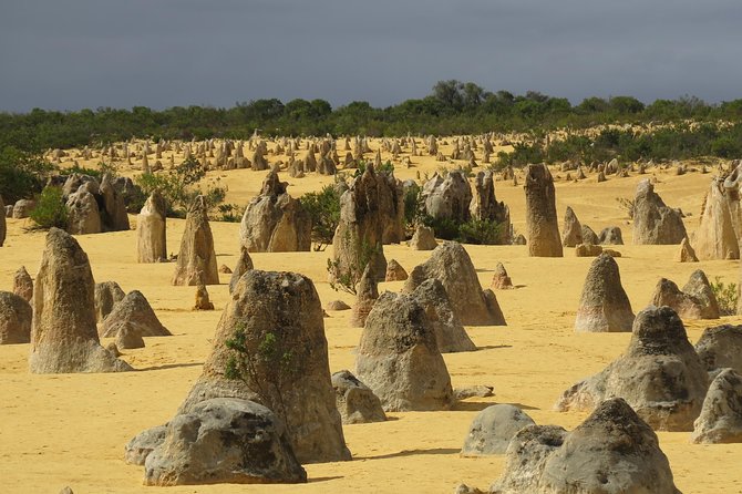 Wave Rock and Pinnacles Air & Ground Tour - Booking and Tour Details