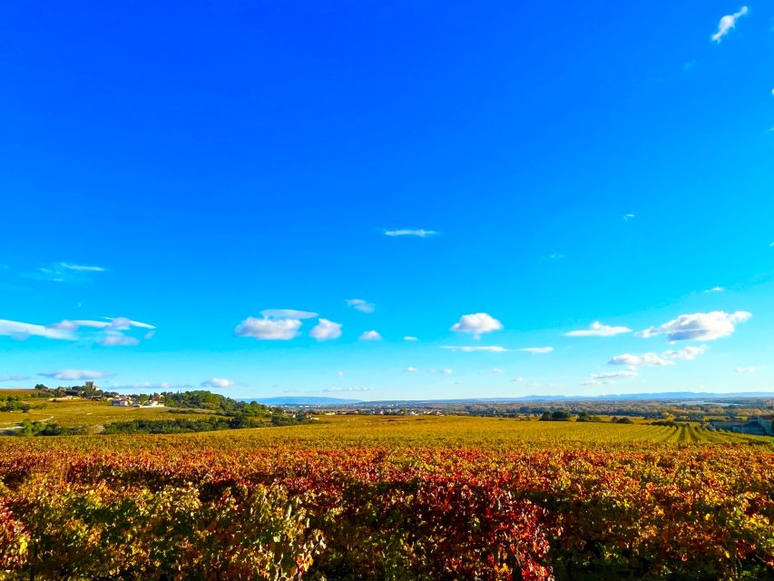 Wine Tasting in Châteauneuf Du Pape - Common questions