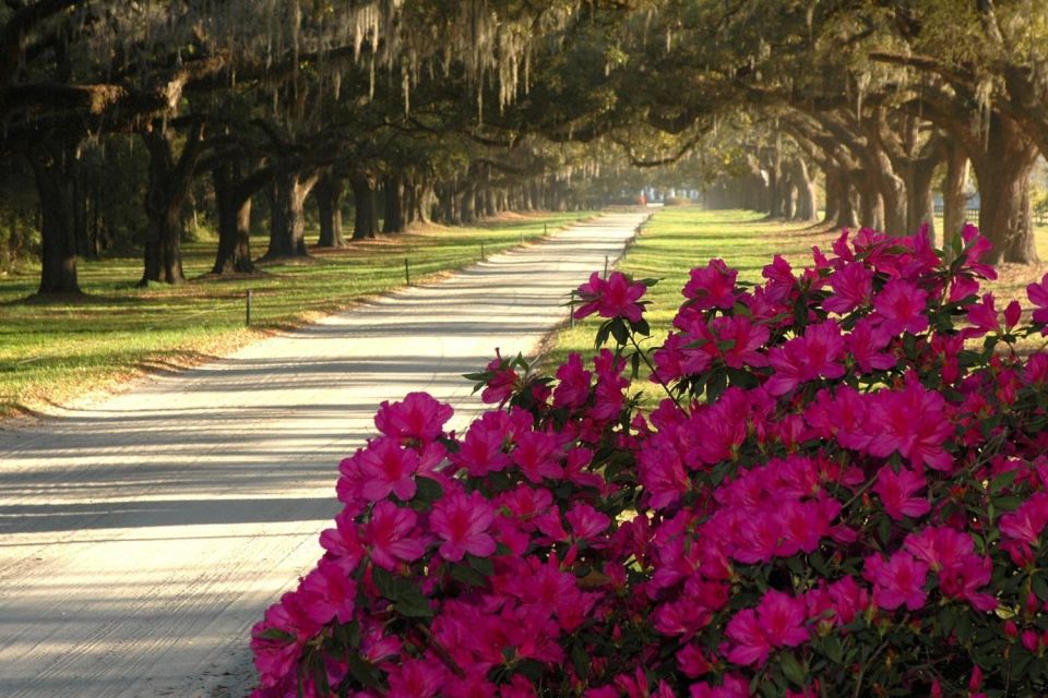 Charleston: Boone Hall & Historic City Tour Combo - Final Words