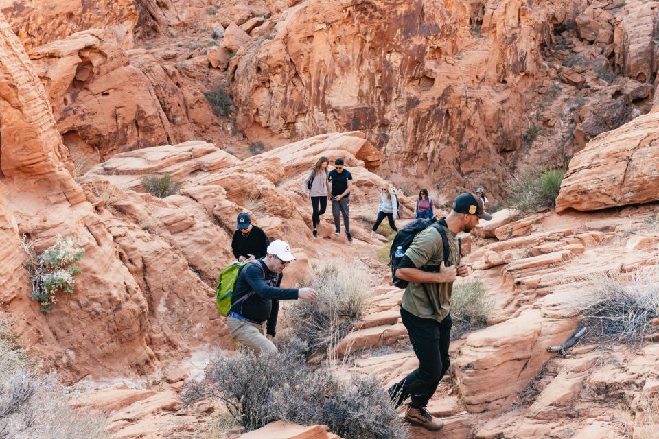 From Las Vegas: Explore the Valley of Fire on a Guided Hike - Tour Highlights