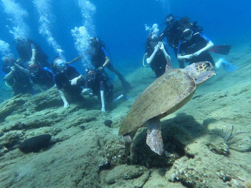 Heraklion: Scuba Diving Experience for Beginners - Gear and Equipment Provided