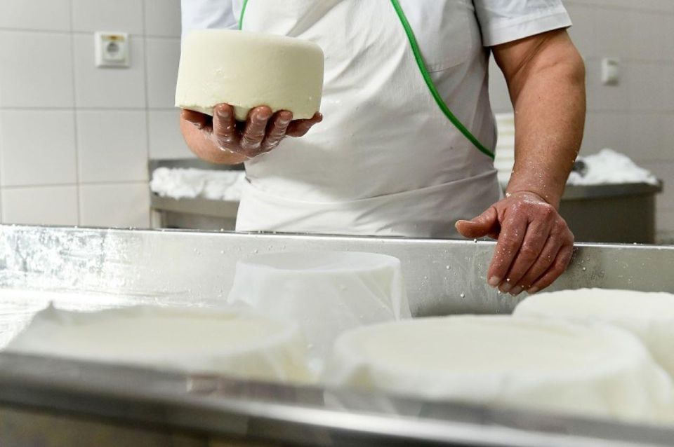 Lisbon: Azeitão Cheese Workshop With Wine & Food Tasting - Final Words