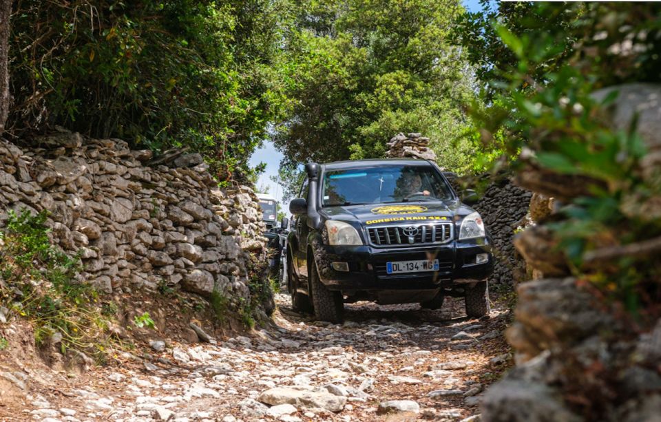 Porto Vecchio: Cuscionu Plateau & Alta Rocca 4x4 Tour - Final Words