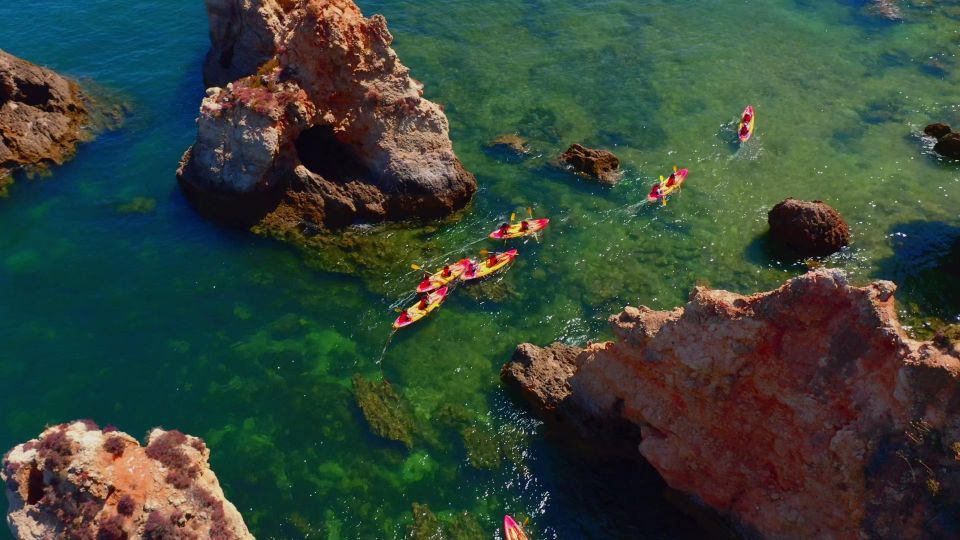 Private Boat & Kayak Tour With Snorkeling Adventure (Alvor) - Common questions