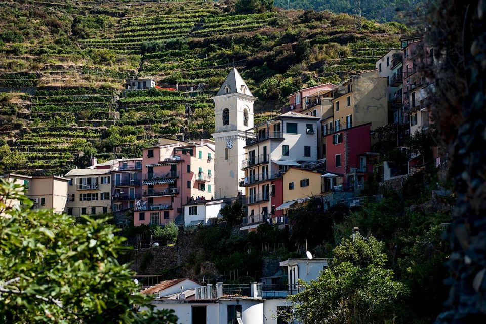 Private Cinque Terre Tour From Florence With Optional Hike - Final Words