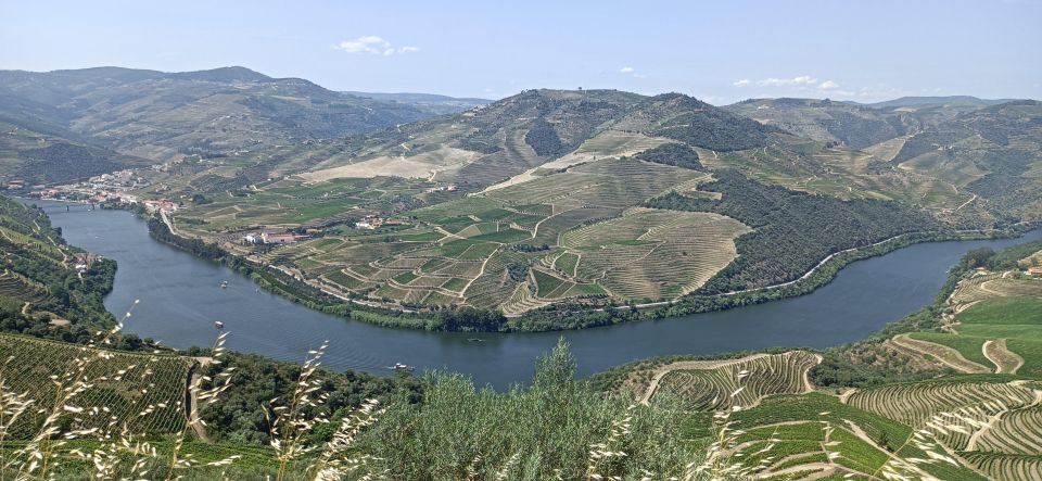 Private Douro Wine Tour - Common questions