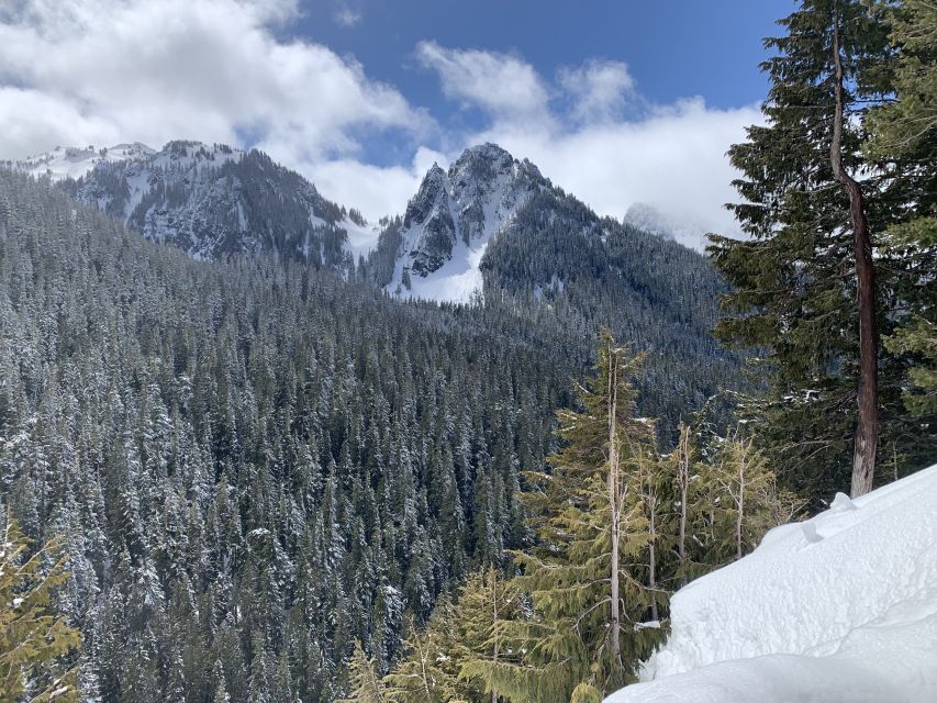 Seattle: Mt. Rainier Hiking W/ Waterfalls, Glaciers & Trees - Common questions