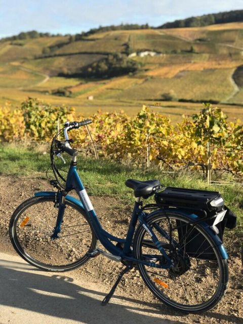 Afternoon E-Bike Champagne Tour From Reims - Tour Location and Provider