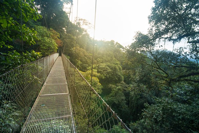 Arenal Hanging Bridges Hiking Tour - Tour Details